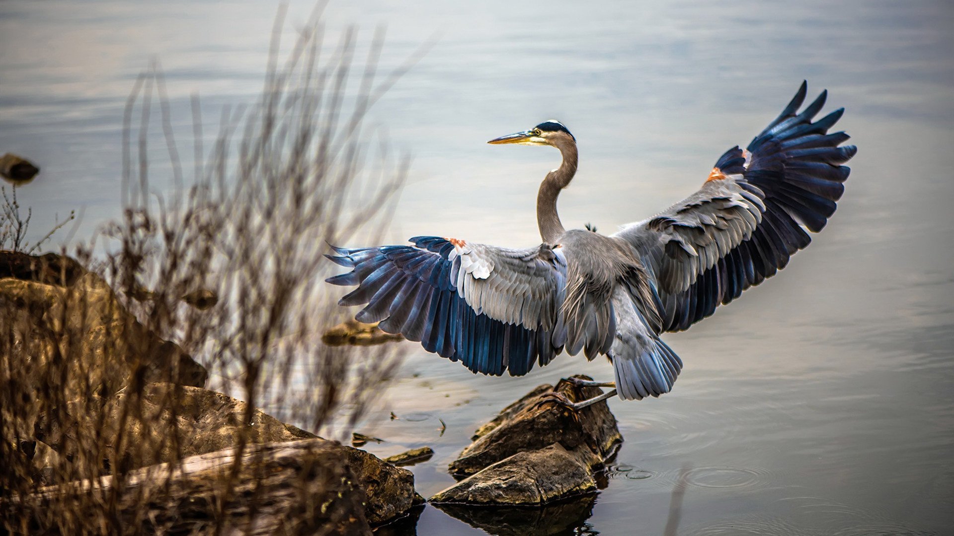 全境跑酷挑战,穿越城市建筑的极限冒险,全程跑酷游戏