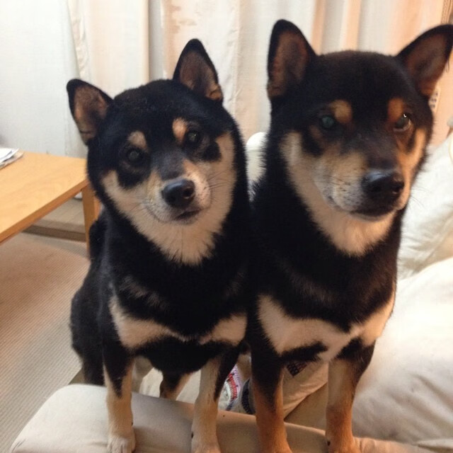 史上最脏的场面:球场恶战留给谁的记忆?,球场脏话