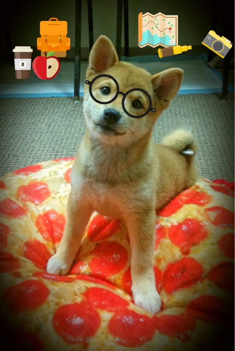 9游游戏官网-【比赛分析】马克·塞尔比的防守策略，谁能破解？，马克塞尔比的人生经历