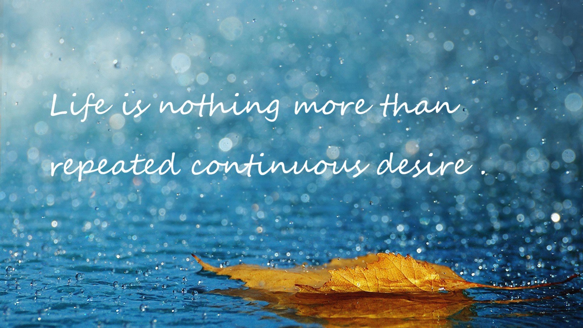 9游app-公路自行车环赛，穿越城市与乡村的精彩瞬间，公路竞赛自行车