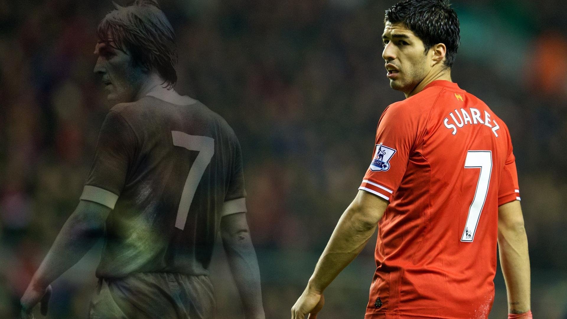 马术运动员备战奥运会，马术成为奥运比赛项目